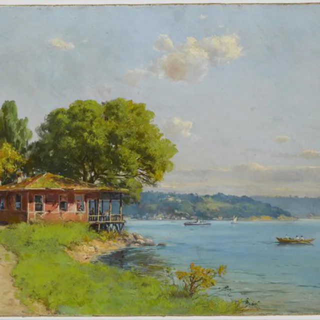 Hoca Ali Rıza, İstanbul, 1919